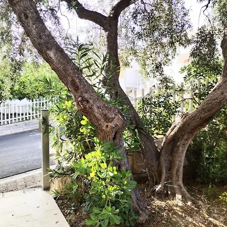 Casa Angela *